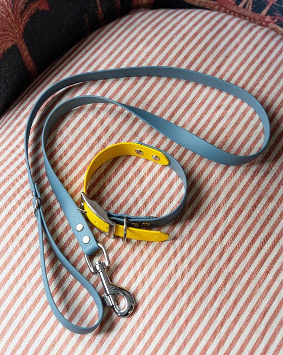 Set zgardă și lesă câini Mash Dogs BioThane Galben - Albastru M