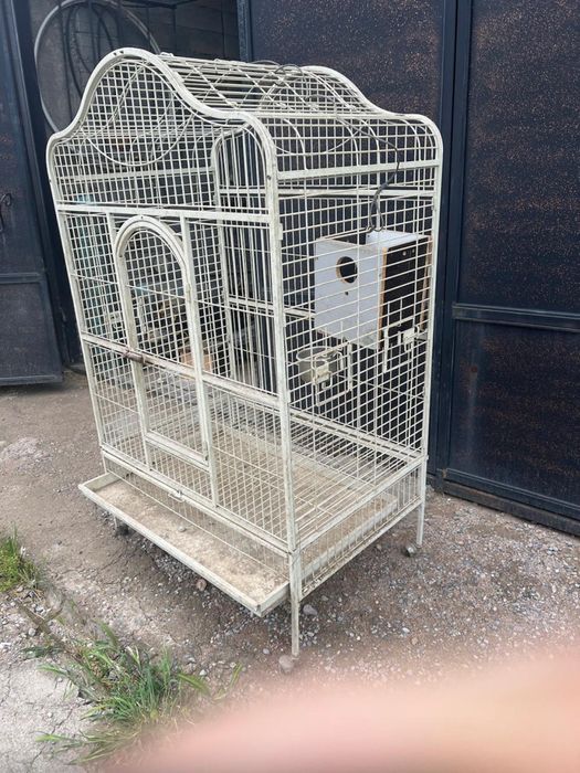 Пролается клетка для птиц