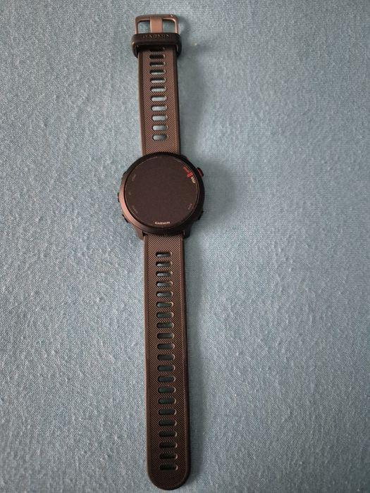 Smartwatch Garmin Forerunner 55