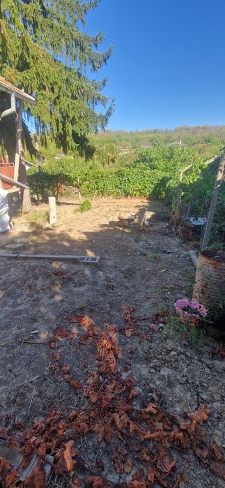 Къща с..Ветрен на 300м от Дунав