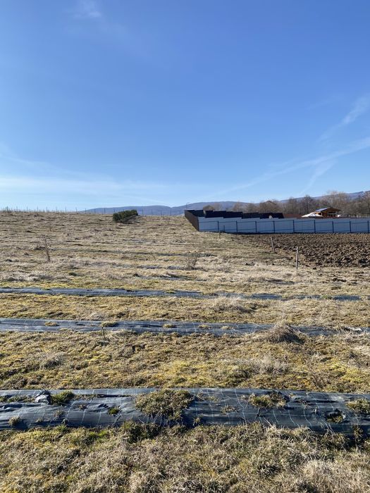 Teren extravilan de vanzare