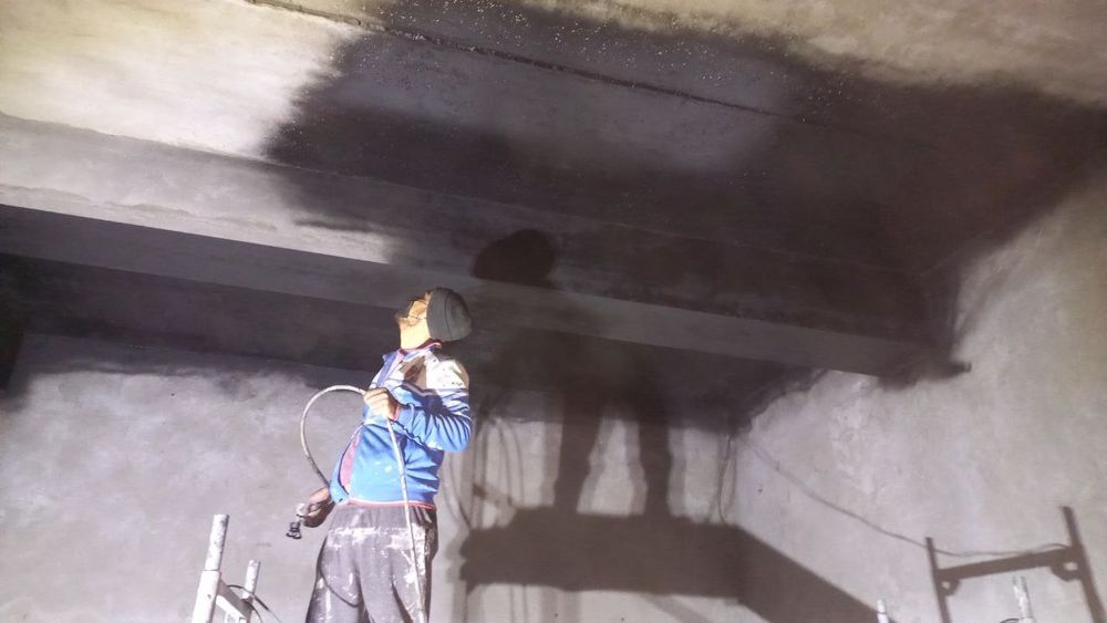 Краска сепамиз...