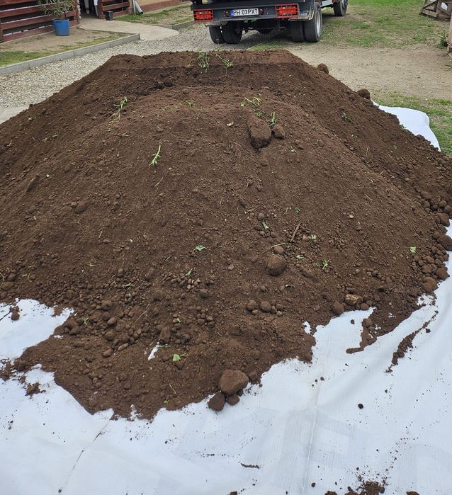 Pământ negru fertil