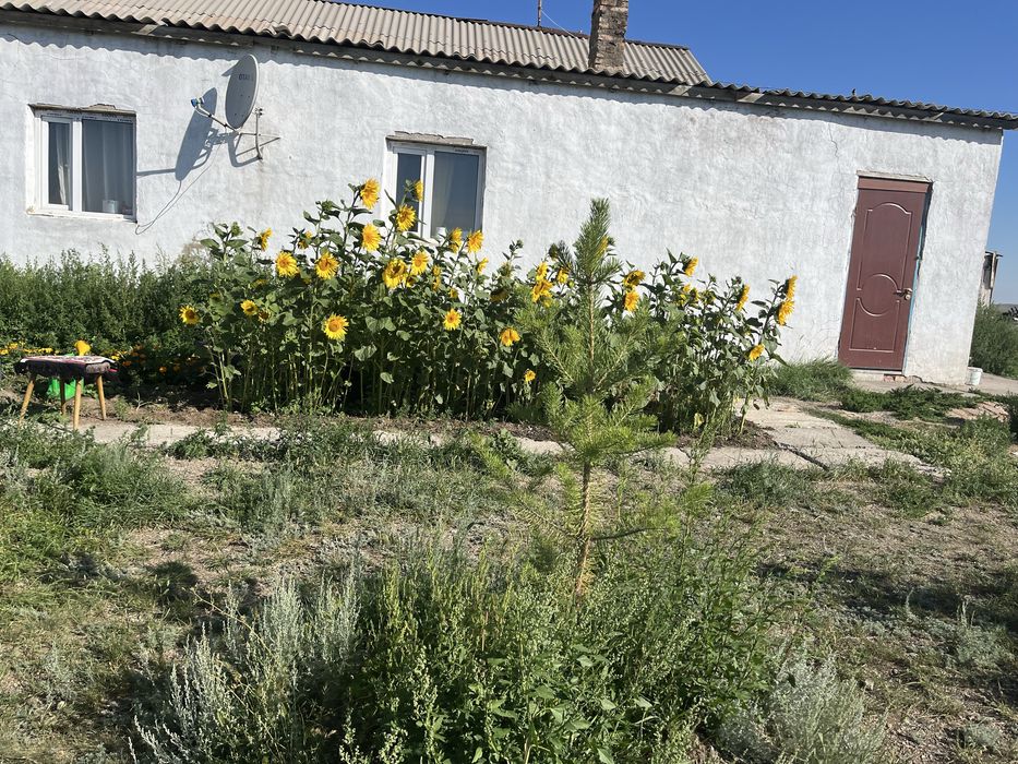 Продается хозяйство