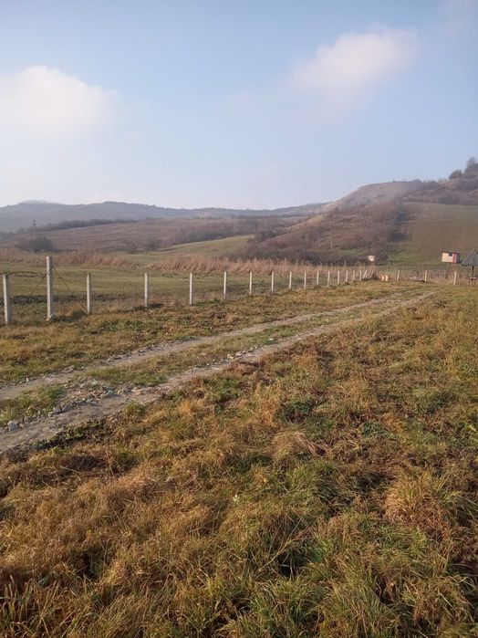 Teren de vînzare in Nicula