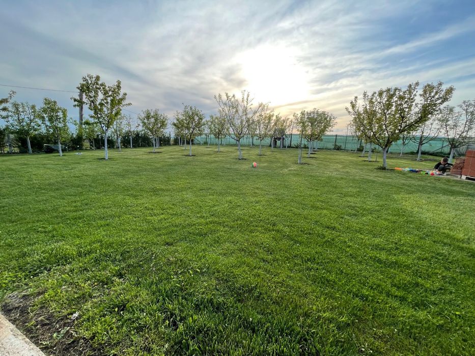 Cabana cu livada Alba Iulia