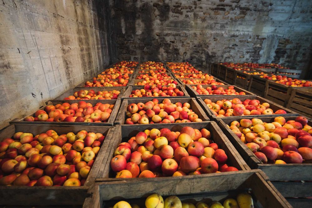 De Vânzare Mere Idared