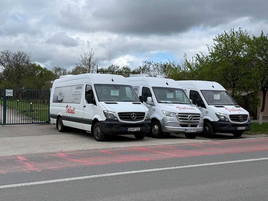 Microbuz Mercedes Sprinter 19+1