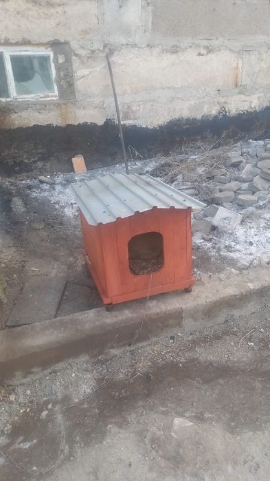 Продаю будку для собаки