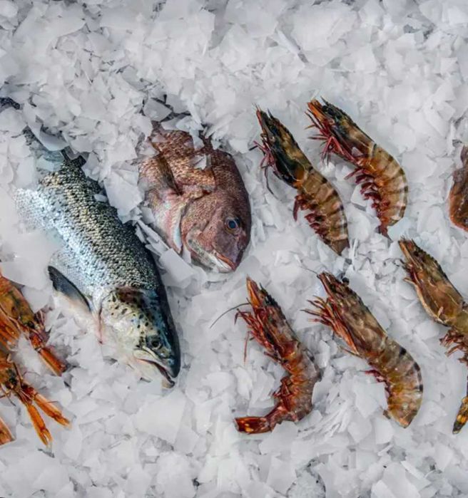 FIRMANN - Masina fulgi gheata productivitate 500 kg / 24h