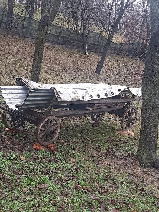 Carut lemn foarte vechi