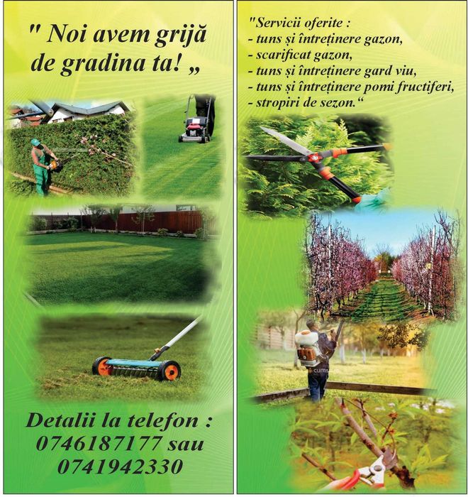 Tuns pomi, intretinere spatii verzi