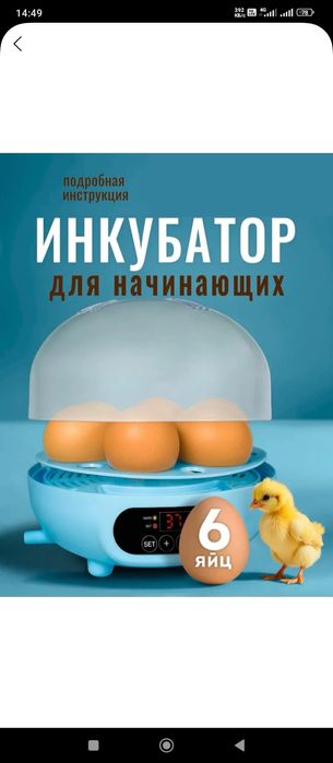 Инкубатор мини автомат