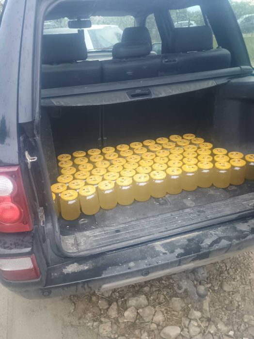 Vând miere naturală de rapiță