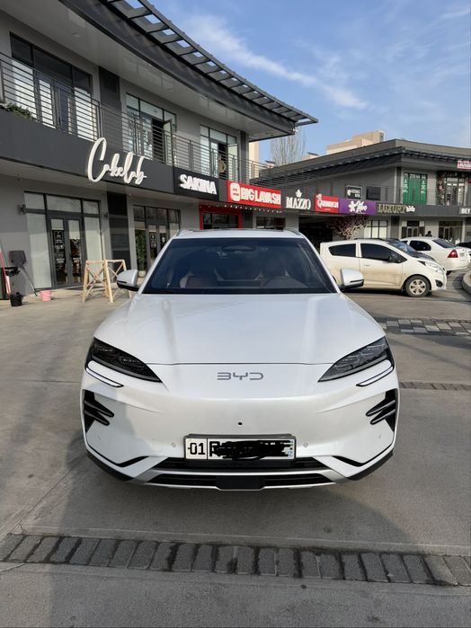 Byd champion 605 kmli