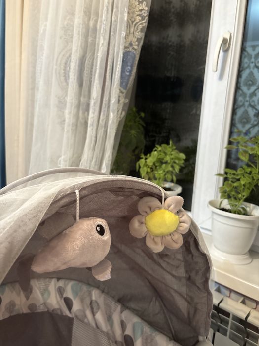 Жап жаңа желбесік