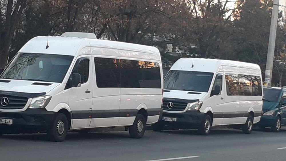 România - Cehia - Austria - Germania  - Olanda