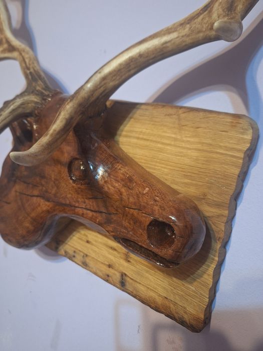 Sculptura Cerb Unicat - Sculptura manuala în stejar pe placa de frasin masiv ( coarne de 50 cm)