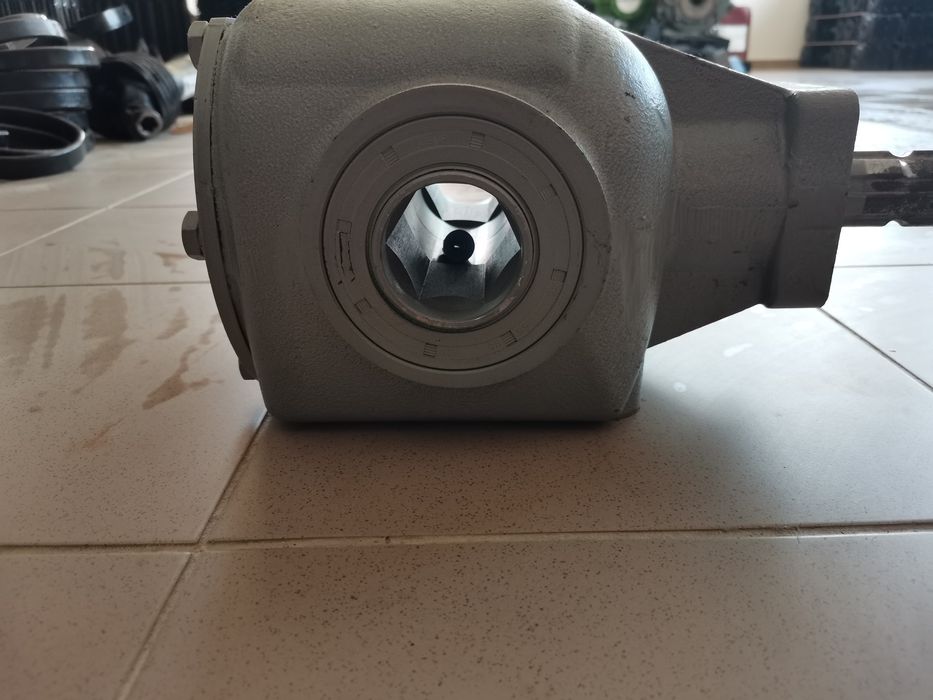 Grup freza poloneză