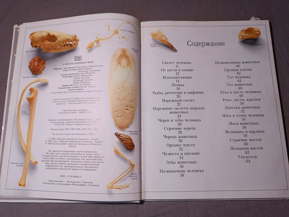 Книга о скелетах