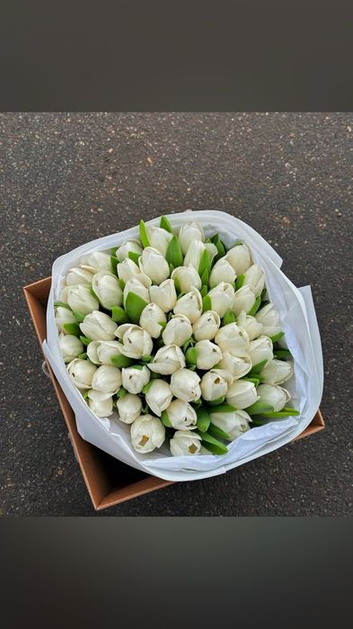 Пионы, тюльпаны, розы большой выбор