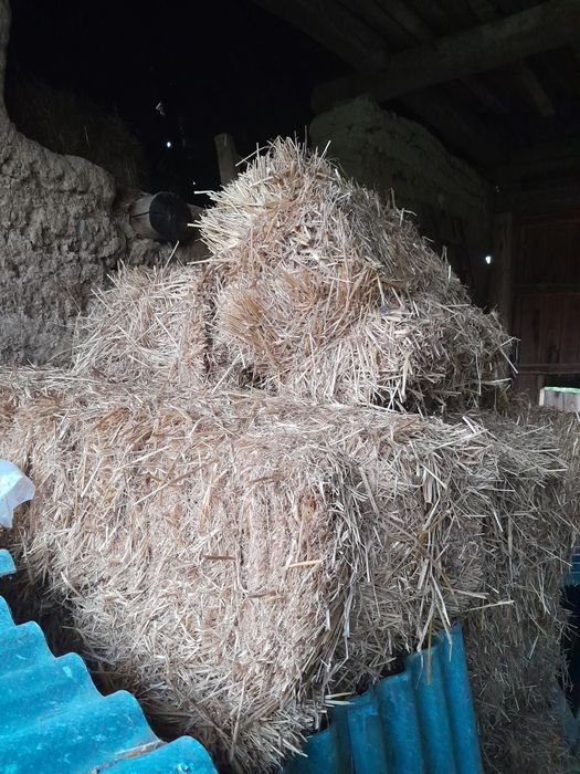 Baloți paie dreptunghiulari