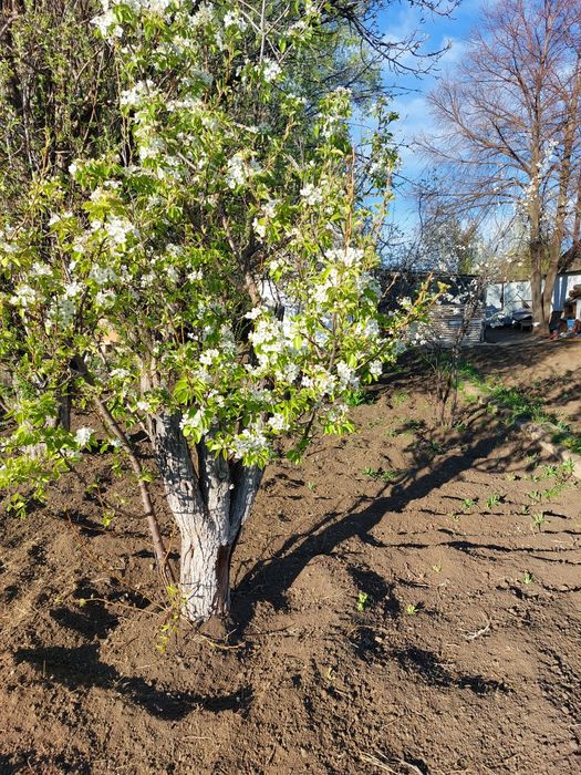 Продам перспективном районе