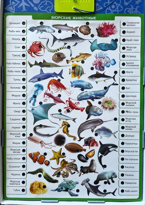 Игра для детей Conector Животный мир