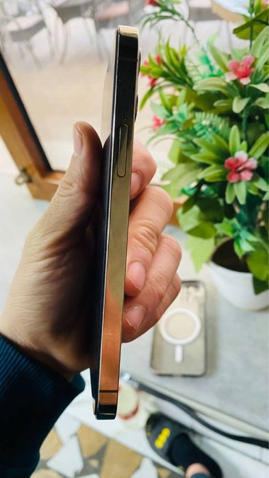 iPhone 12  pro  256  talik