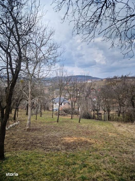 Casa la tara, la 30 min de Cluj – renovata, livada pe rod si teren 1