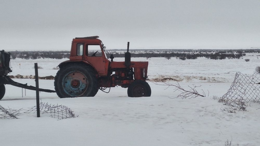 Трактор мтз 80 кун