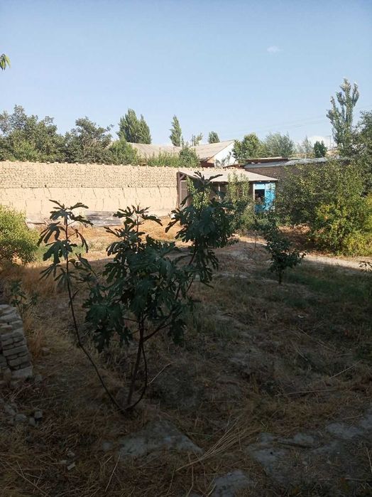 Uy Sotiladi. Продается дом. Можно в ипатеку.