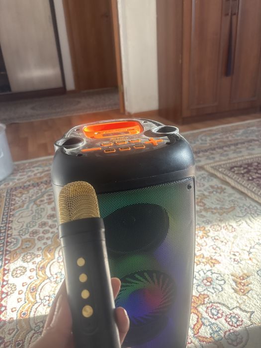 Калонка Singe Микрофоны бар