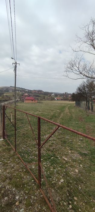 Teren intravilan Mociu