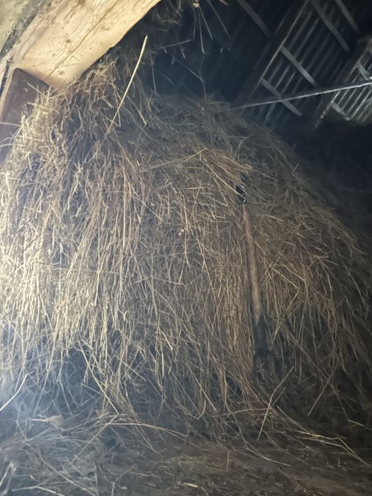 Vand fan calitate foarte buna !! Sunati doar daca va intereseaza