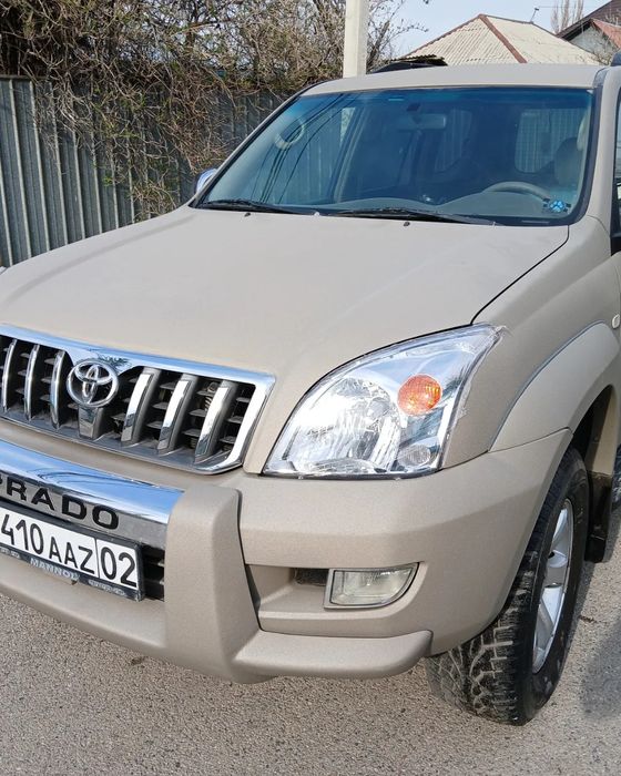 Покраска в Раптор