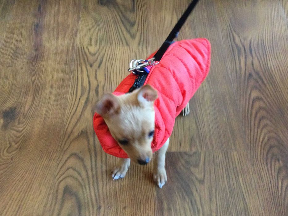 НОВ топъл червен зимен елек / грейка за куче от Италия S, M и L размер