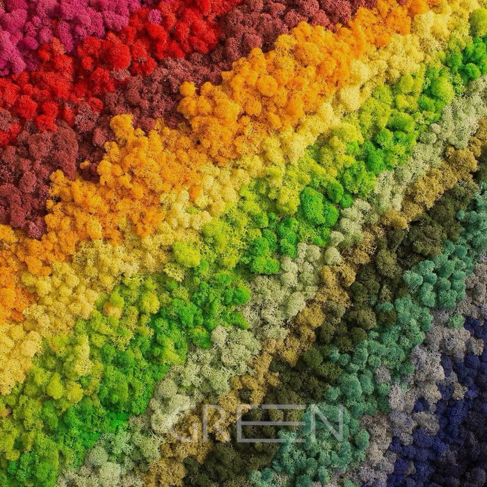 Мох | стаб | Gul | Fitostena