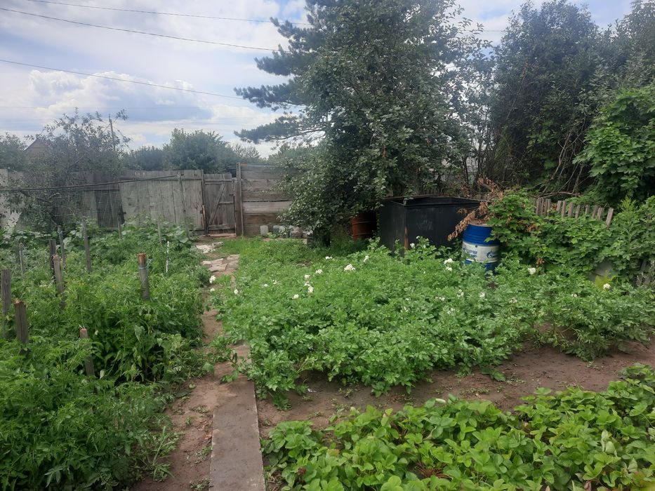 Продам дачу сад Мелиоратор