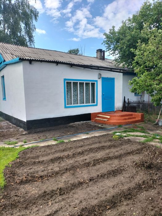 Продам дом. Бородулихинский район. Село Зенковка