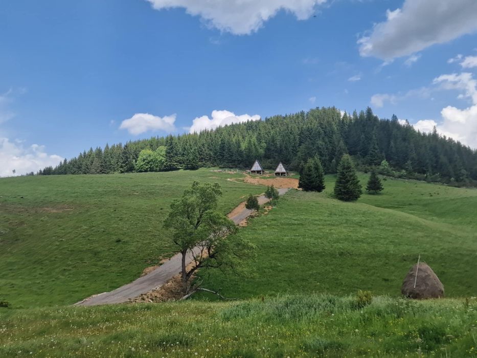 *** Cazare / Cabane  A Frame  / Fundata Brașov ***