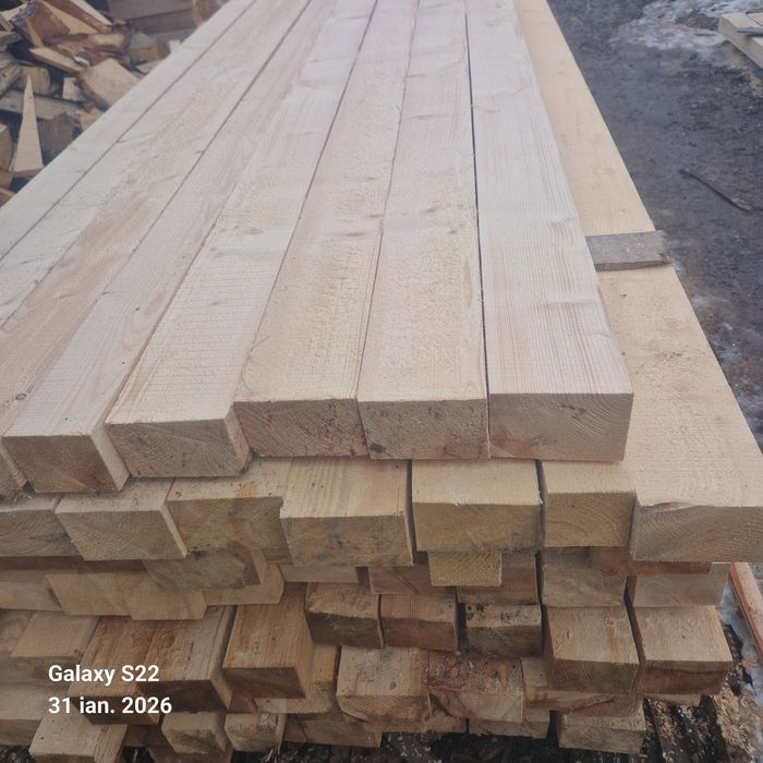 CHERESTEA Rășinoase    Molid  / Brad