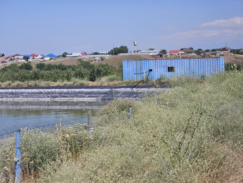 Продаётся яблоневый сад!