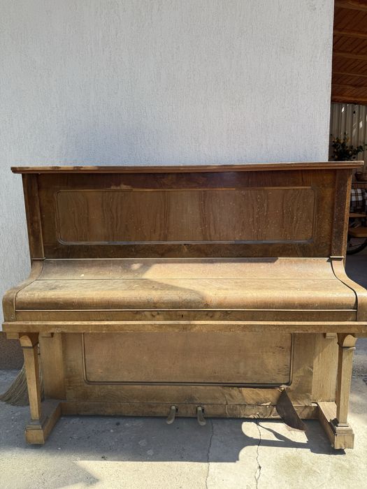 Pianina Steinberg