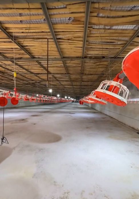 Продаётся птицеферма