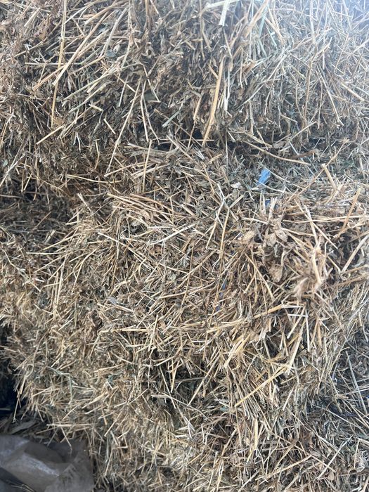 Baloti lucerna (transport contra cost motorina)