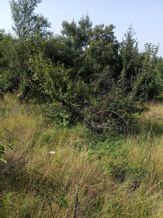 Продава се Парцел в с. Ялботина, Област София-област - 1000 кв.м за 15 €/кв.м - Снимка #4