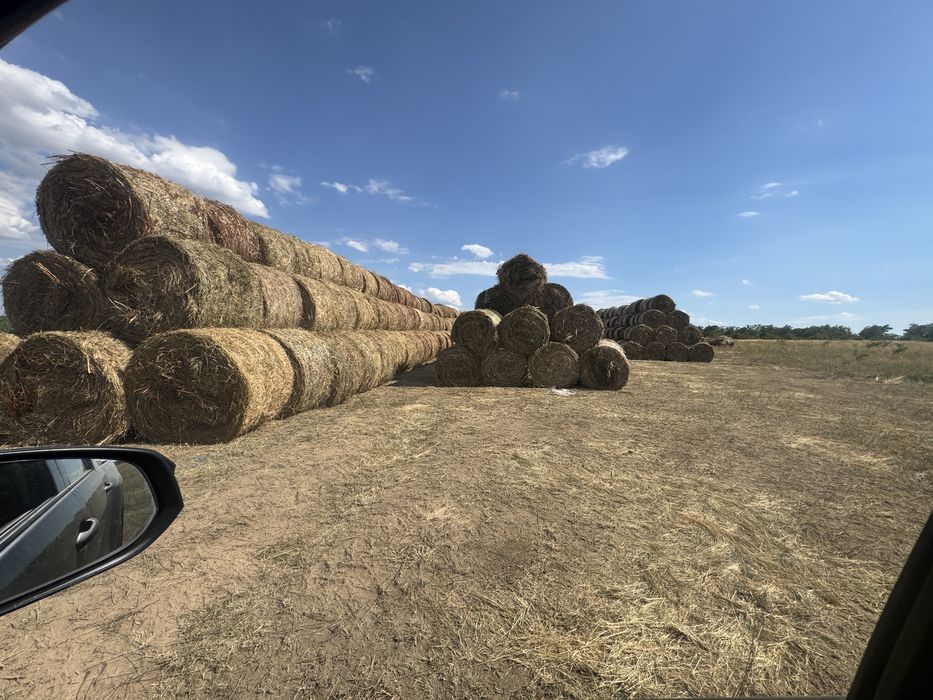 baloti lucerna 100/150/250 ron