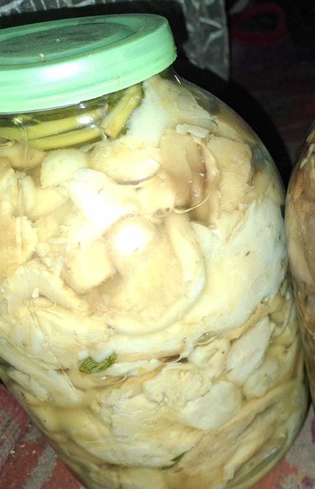 Продам грузди соленые