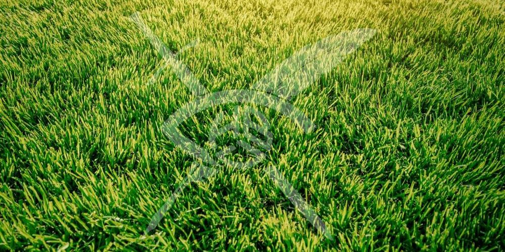 Парцели в Остромила! 102559